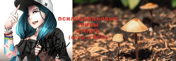 мдпв Рославль
