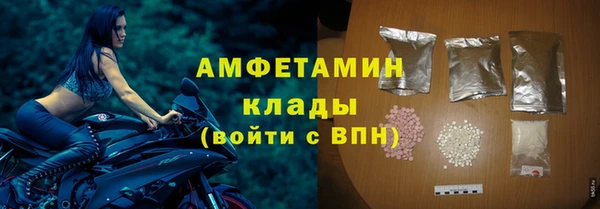 мдпв Рославль