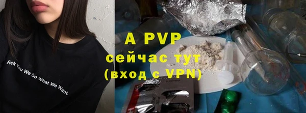 мдпв Рославль