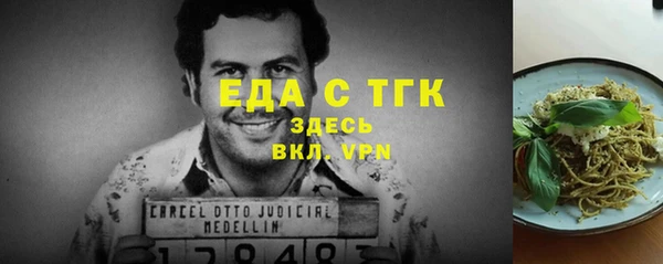 мдпв Рославль