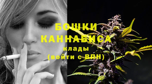 мдпв Рославль