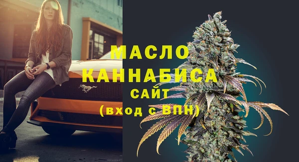 мдпв Рославль