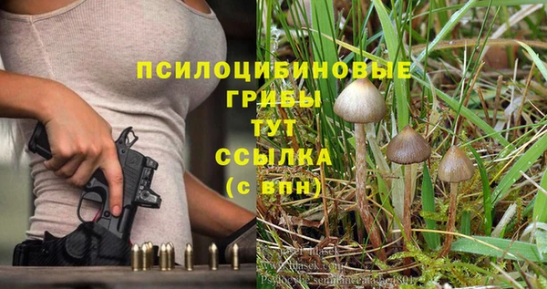 а пвп мука Ростов