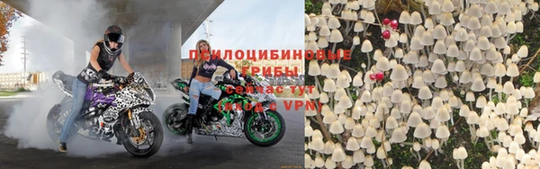 герыч Россошь