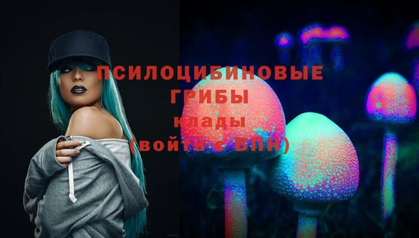 герыч Россошь