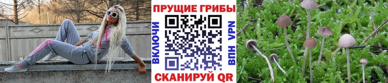 Купить закладки  Оха  Галлюциногенные грибы Magic Shrooms 